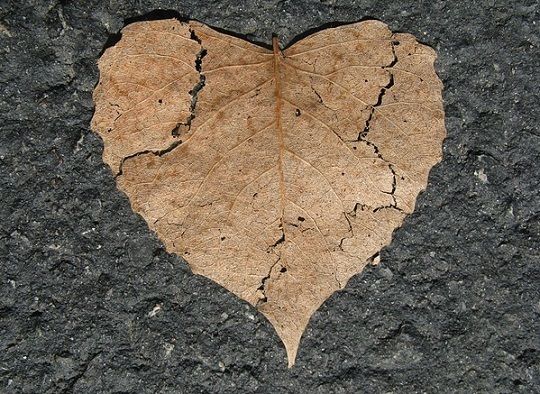 blog-maman-lyon-picou-bulle-coups-coeur-novembre