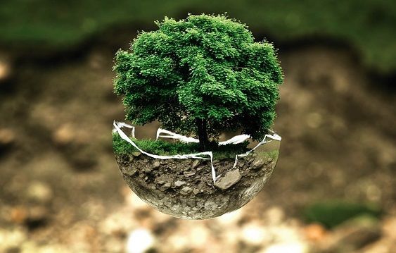 blog-maman-picou-bulle-ecologie-a-petits-pas