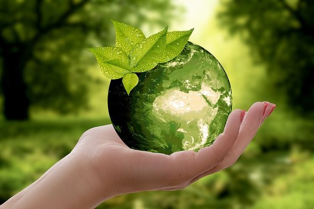 blog-maman-picou-bulle-devenir-plus-ecolo