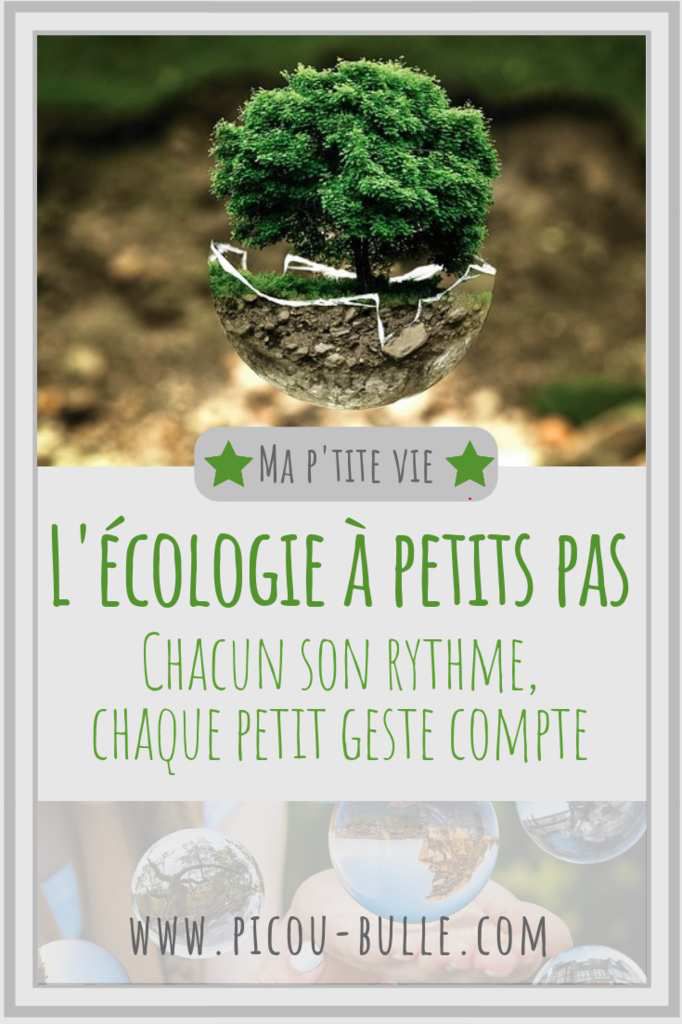 blog-maman-picou-bulle-pinterest-ecologie-a-petits-pas