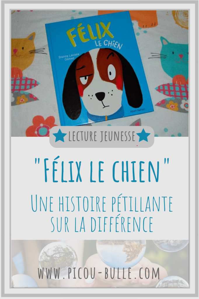blog-maman-picou-bulle-pinterest-felix-chien
