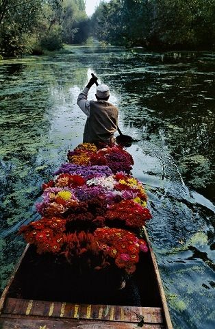 blog-maman-picou-bulle-expo-photo-mcCurry