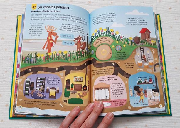 blog-maman-picou-bulle-usborne-100-infos-insolites