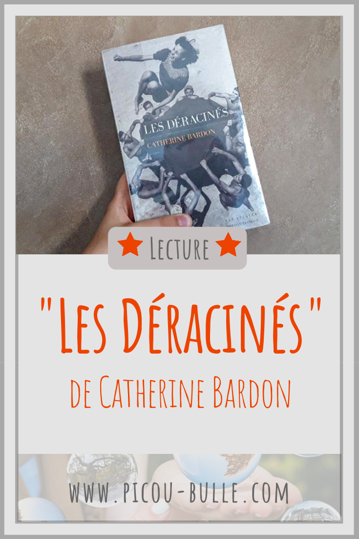 blog-maman-picou-bulle-pinterest-les-deracines-catherine-bardon