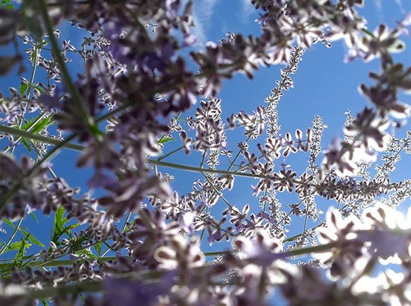 blog-maman-picou-bulle-soleil