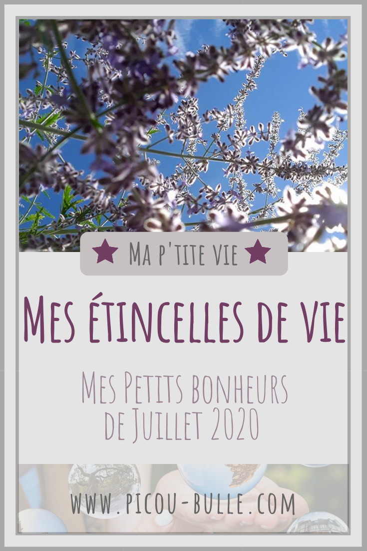 blog-maman-picou-bulle-pinterest-petits-bonheurs-juillet20