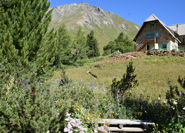 blog-maman-picou-bulle-jardin-alpin-lautaret-chalet