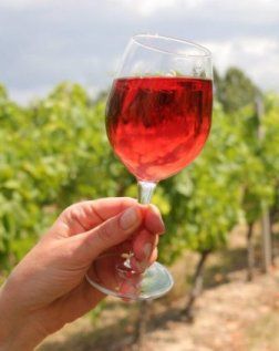 Cave, Rochettes, Montaigu, Vendée, dégustation, whisky, rhum, cadeaux, soirée, idée, originale, mariage, cérémonie,