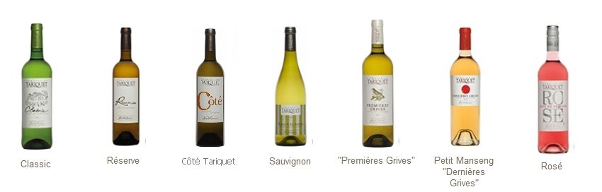 tariquet, gascogne, sud-ouest, vin du gers