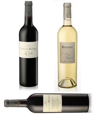 rivesaltes, roussillon, vin blanc sec, vin rouge, apéritif, muscat