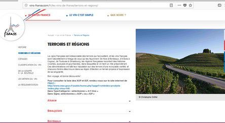 vins de france, le monde du vin, histoire, cépages, vignes, vendée, montaigu, région