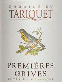 tariquet grand vin blanc moelleux de gasgogne dans le sud ouest idéal à l'apéritif, foie gras, tartes, aromatique avec une belle fraicheur