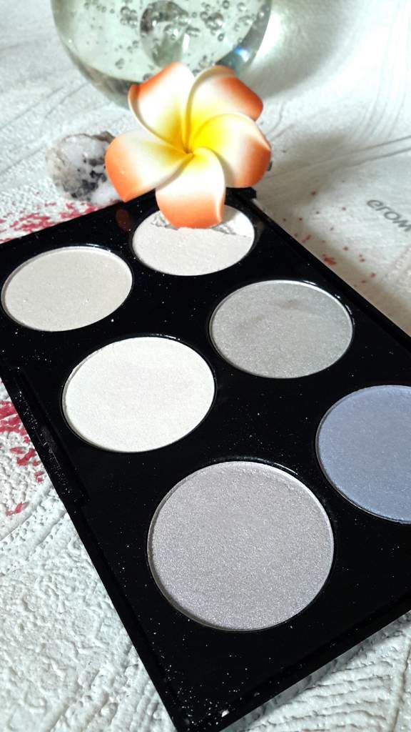 Palette max and more