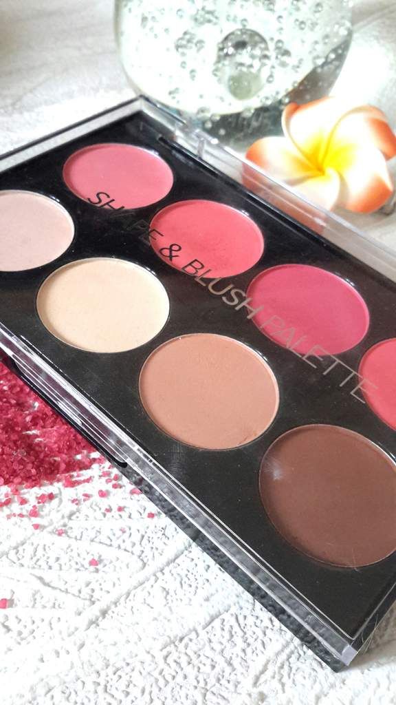 Max and more palette