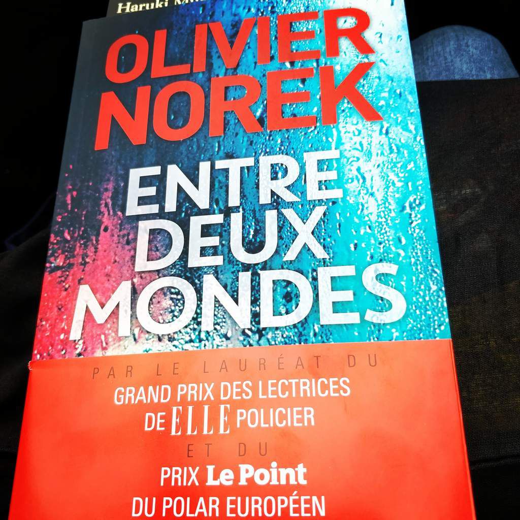Entre Deux Mondes – Olivier Norek