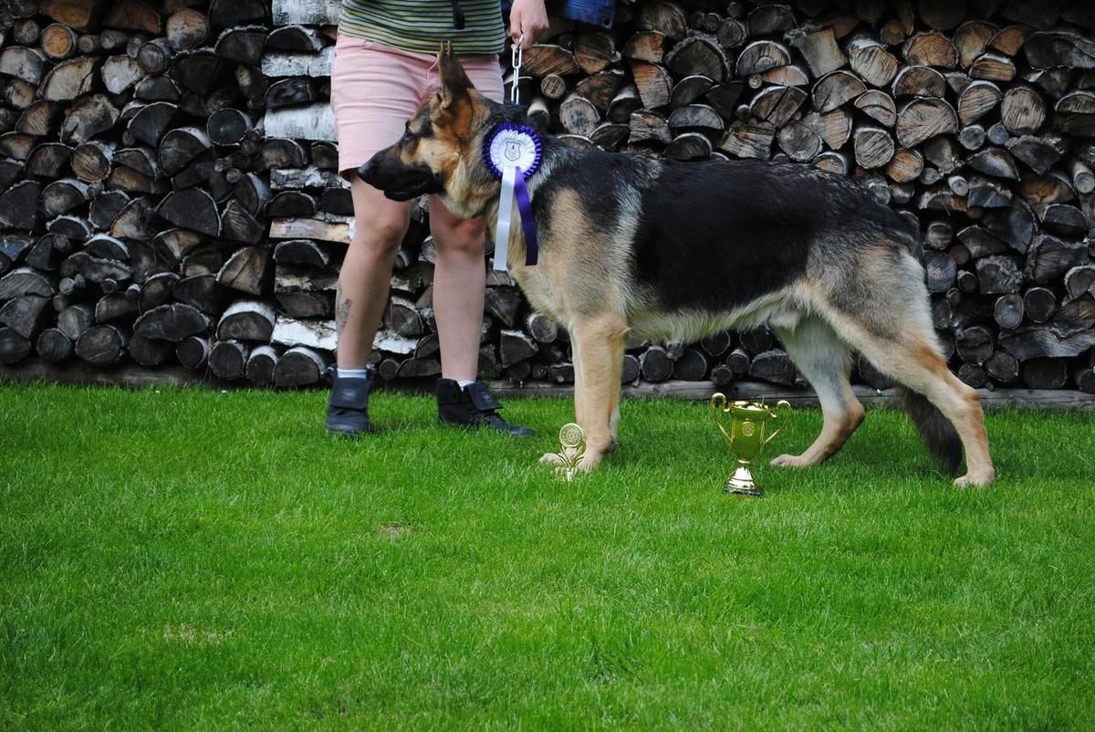 Un peu de toi ,un peu de moi ,un peu de nous delices d'edith