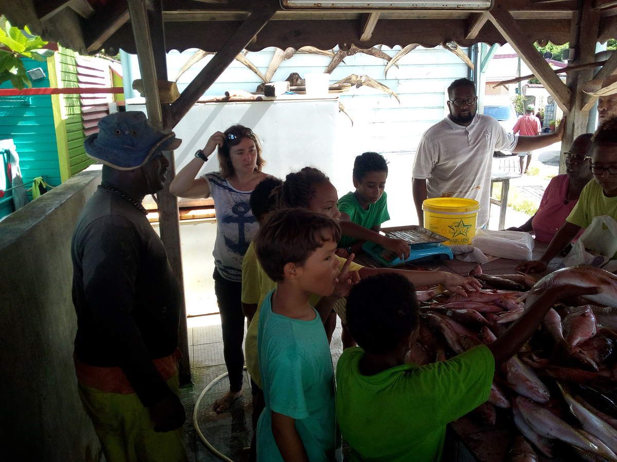 Arrivage et nettoyage de poissons à Grande Anse