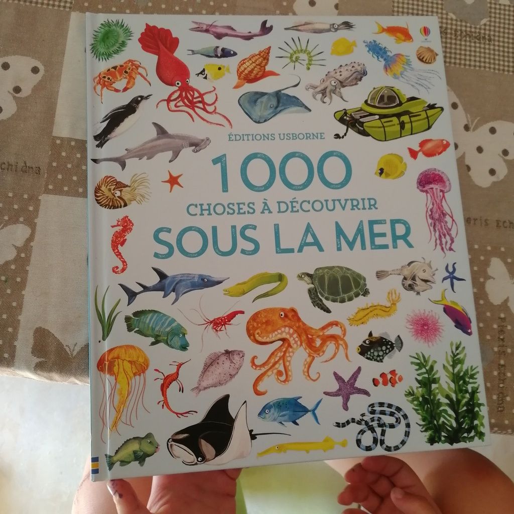 mer livre enfant editions usborne