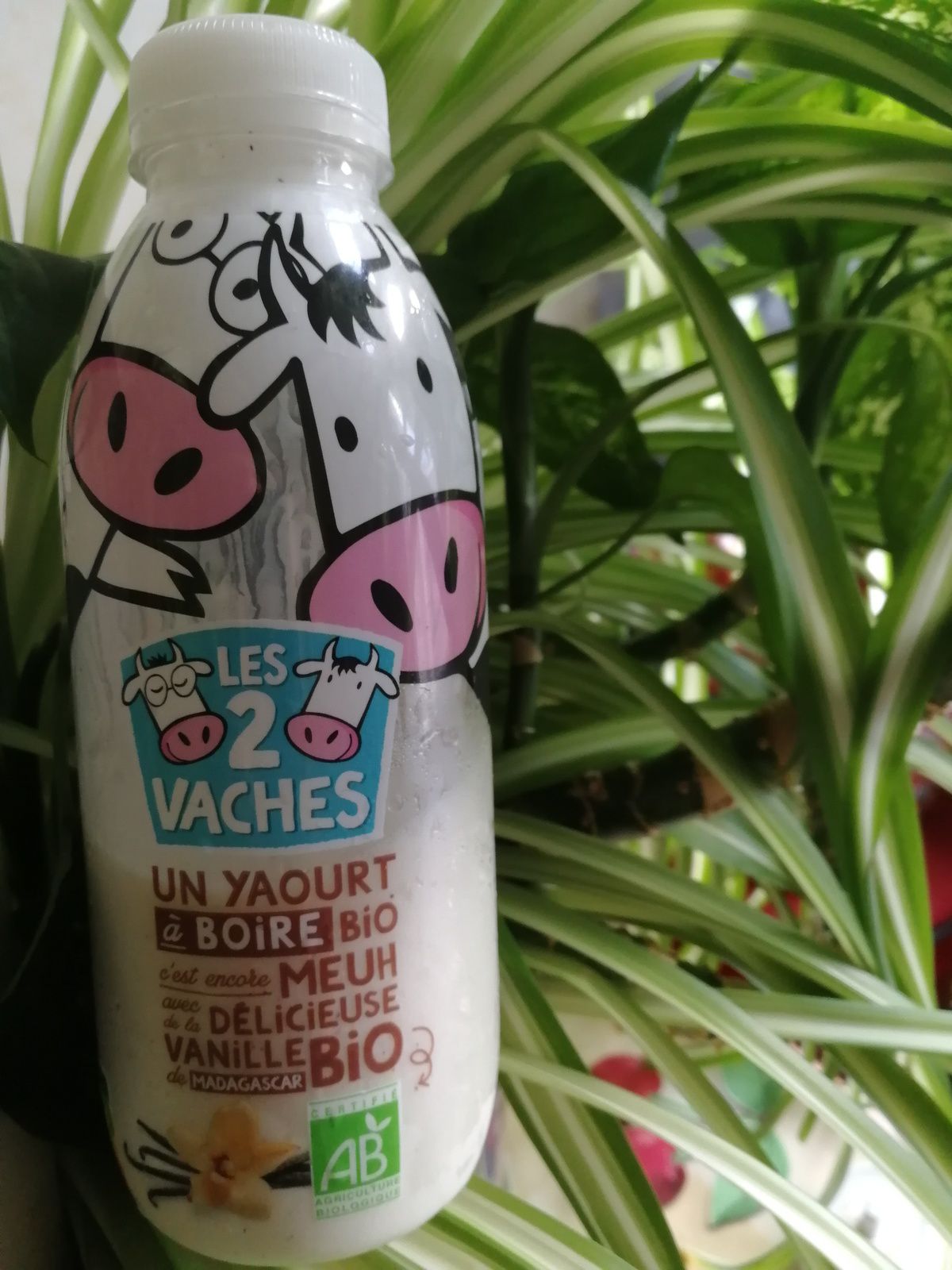 Les 2 vaches