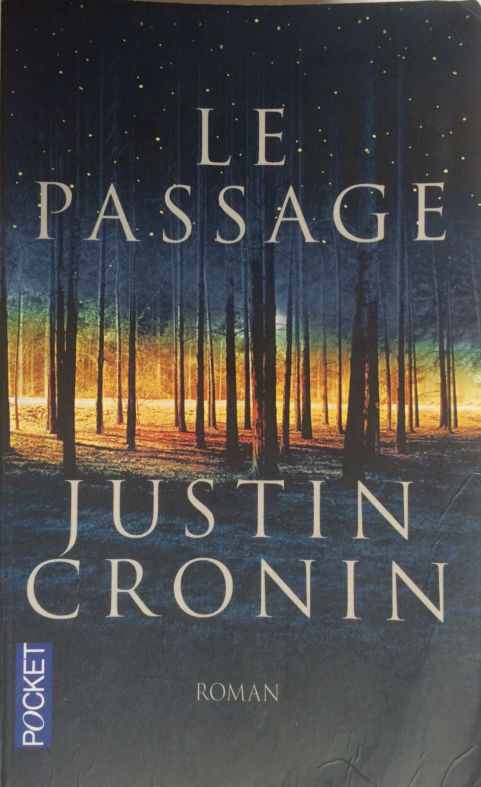 Un monde post-apocalyptique ravagé dans "Le Passage" de Justin Cronin, paru en 2010.