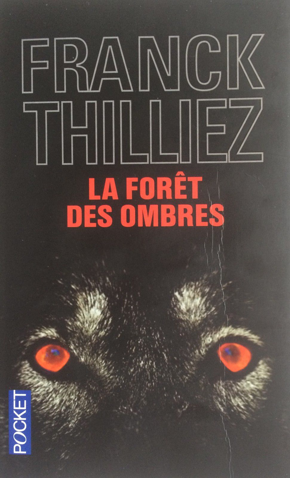 "La forêt des ombres" de Franck Thilliez publié en 2006 : un thriller machiavélique.