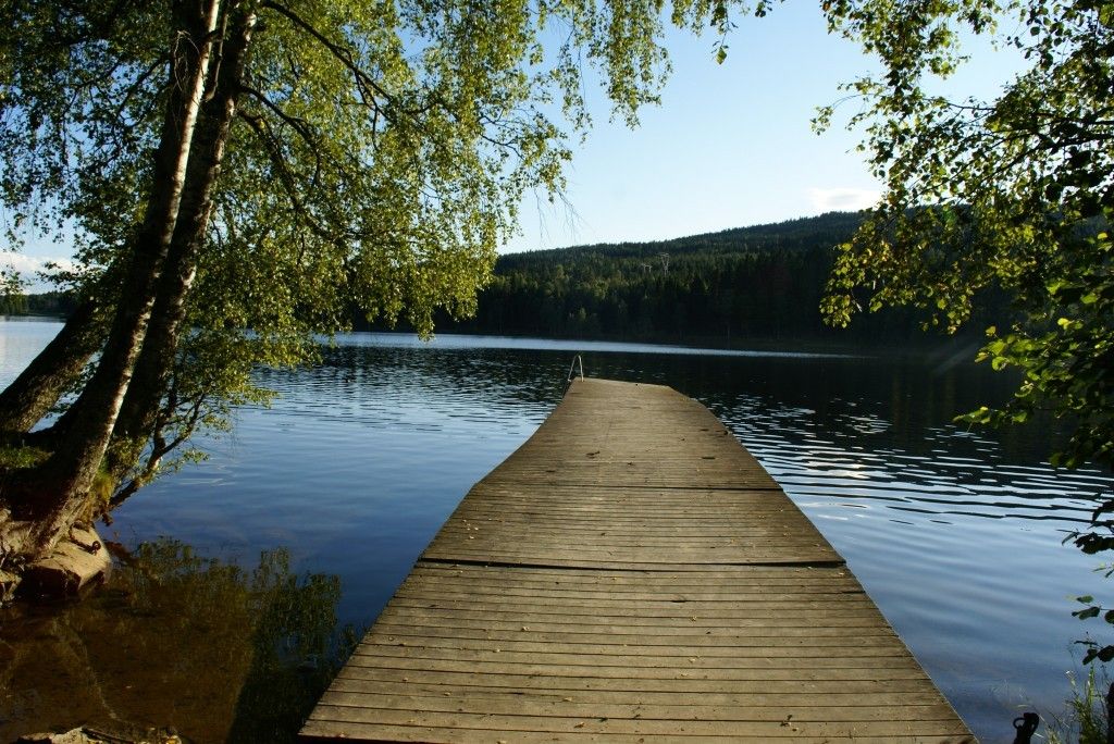 coachingorientationpersonnelle.over-blog.com