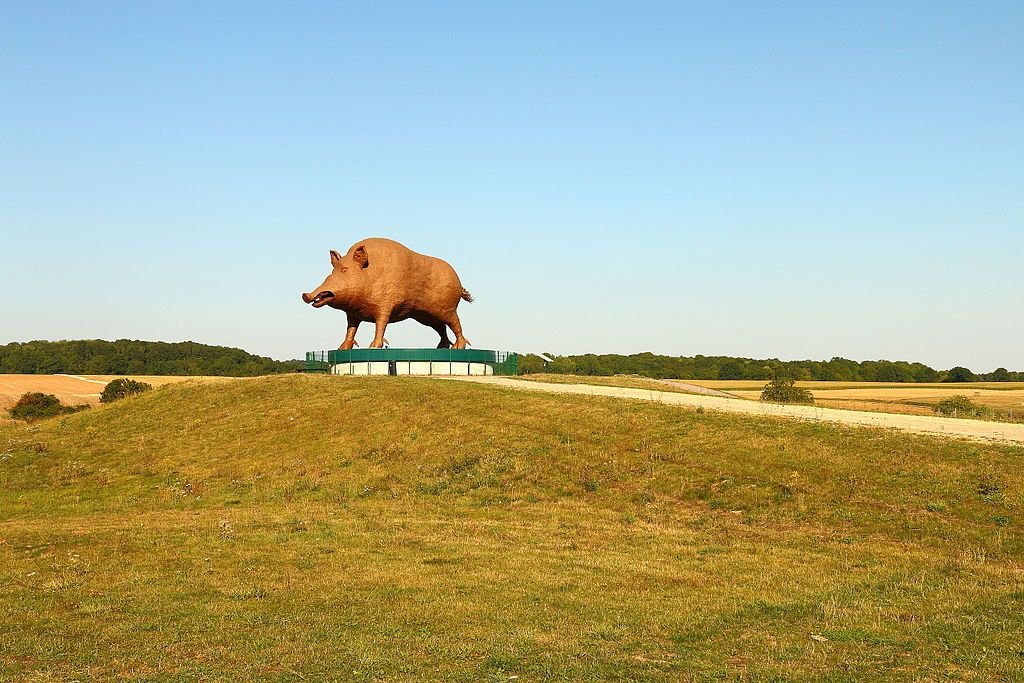 Woinic Le Plus Grand Sanglier Du Monde Histoires Ardennaises