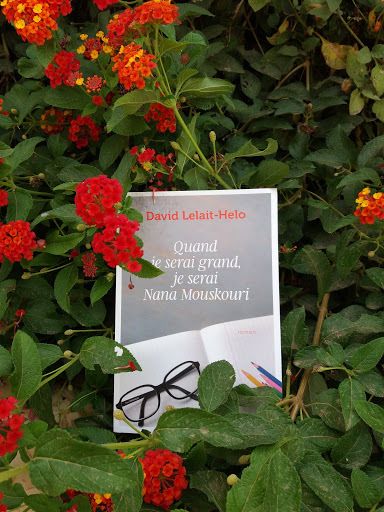 David Lelait-Helo - Quand je serai grand je serai Nana Mouskouri