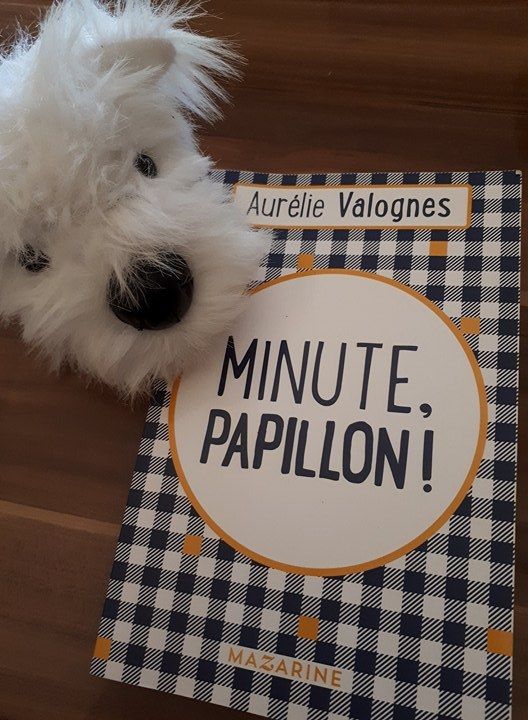 Aurélie Valognes - Minute Papillon Editions Mazarine