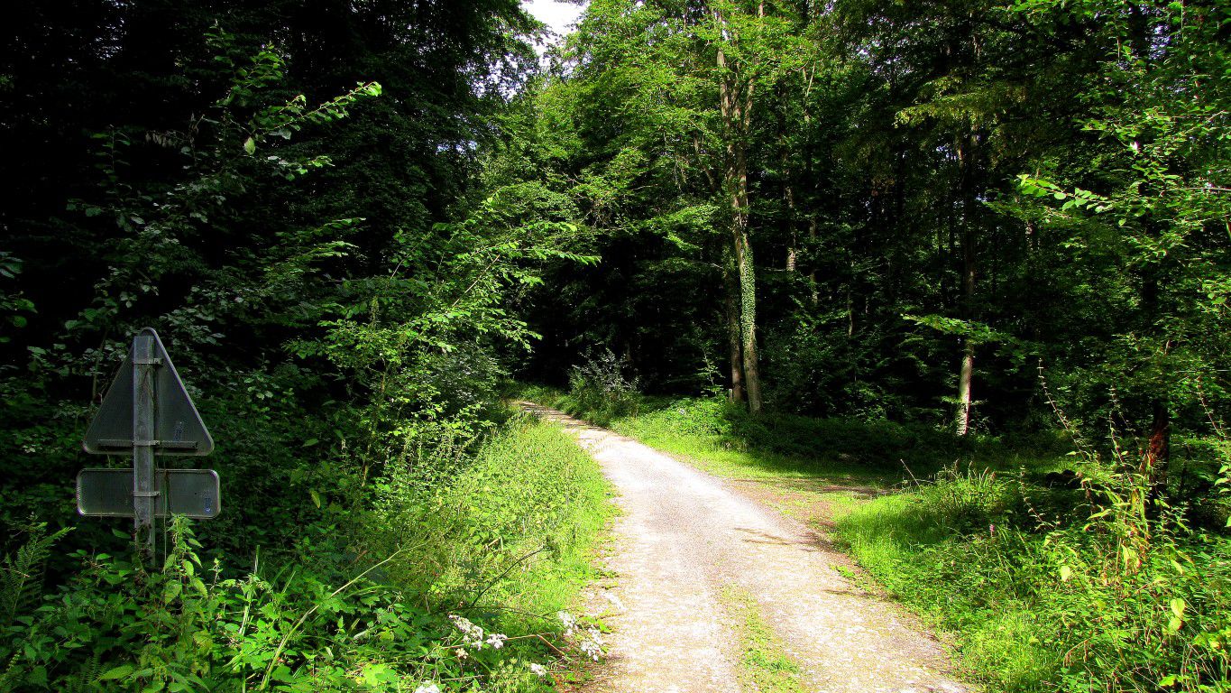 carrefour_Route des Bordures de Cabaret_Chemin Rural des Planards