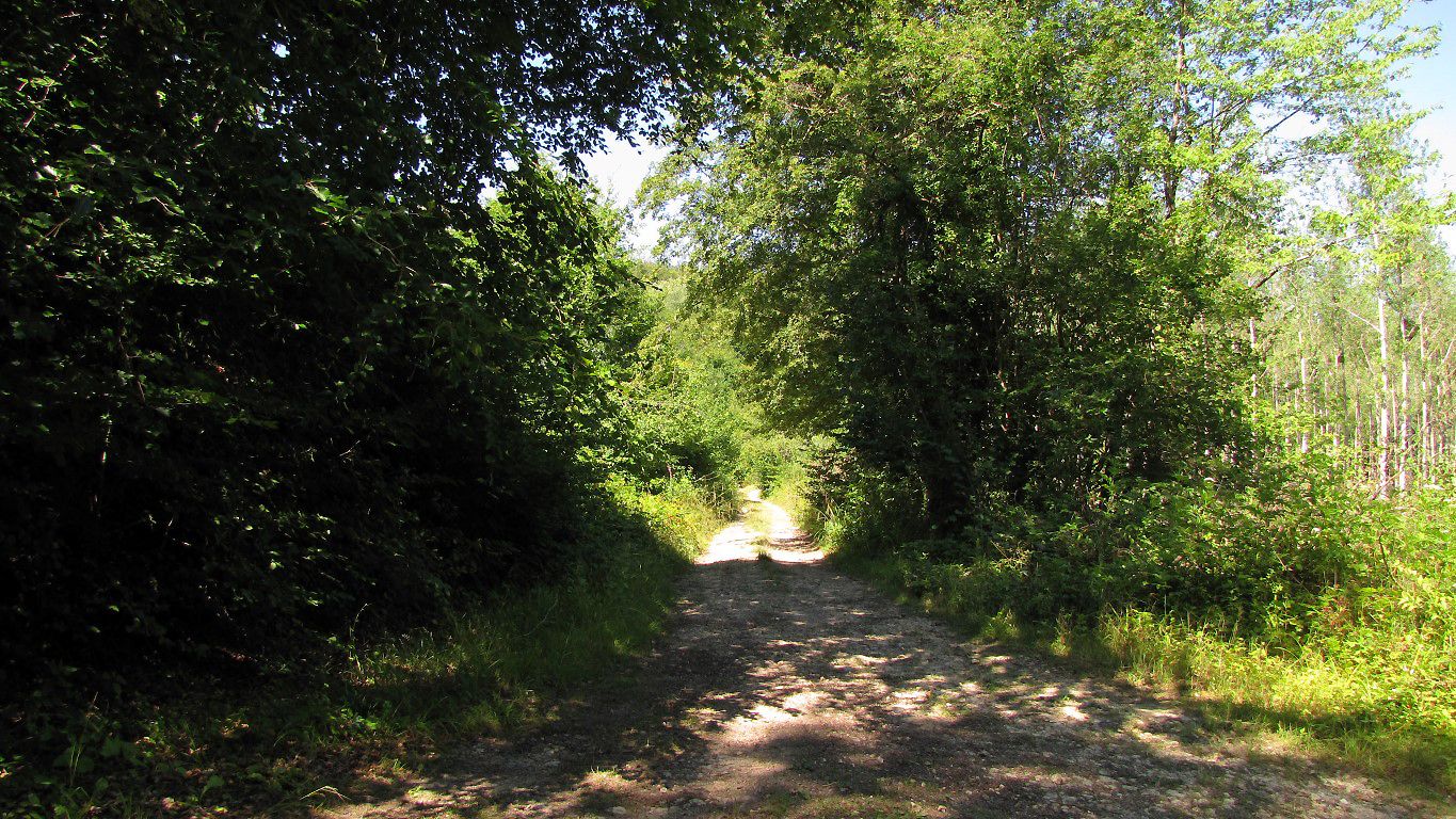 le GR11 en Forêt de Retz et le long du Canal de L'Ourcq