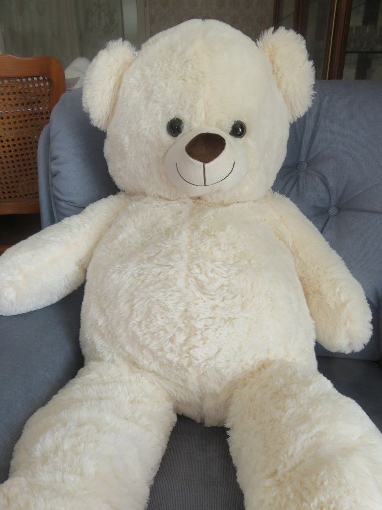nounours bébé