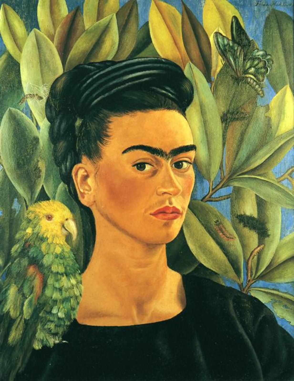 Autoportrait Au Collier D épines Et Colibri Analyse Frida Kahlo : "Autoportrait avec un singe" - BlablaARTS - Brigitte Roussey