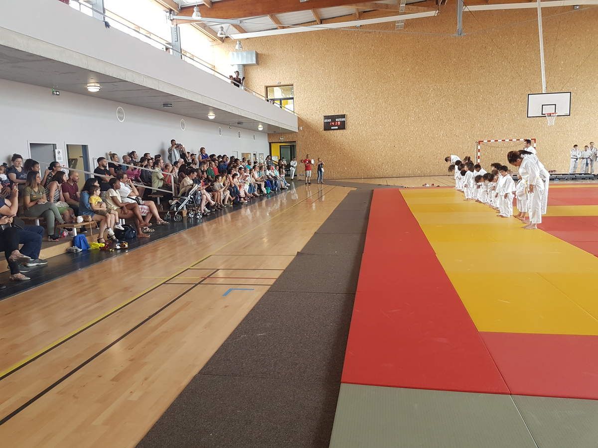 Gala ISDJudo 2017