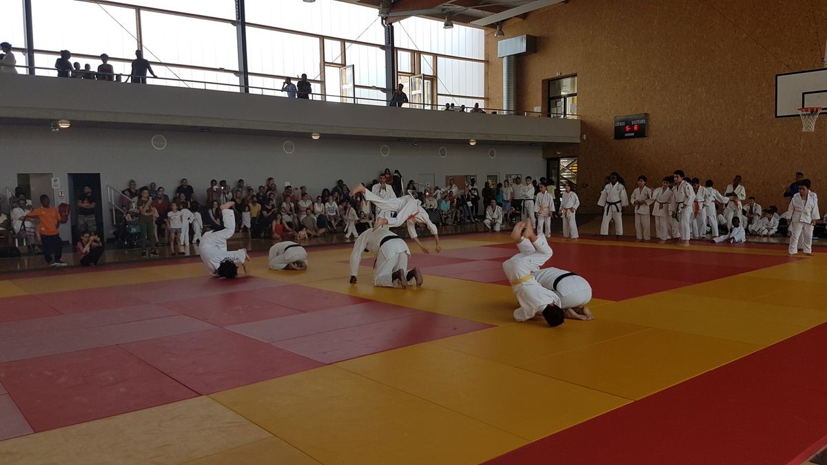 Gala ISDJudo 2017