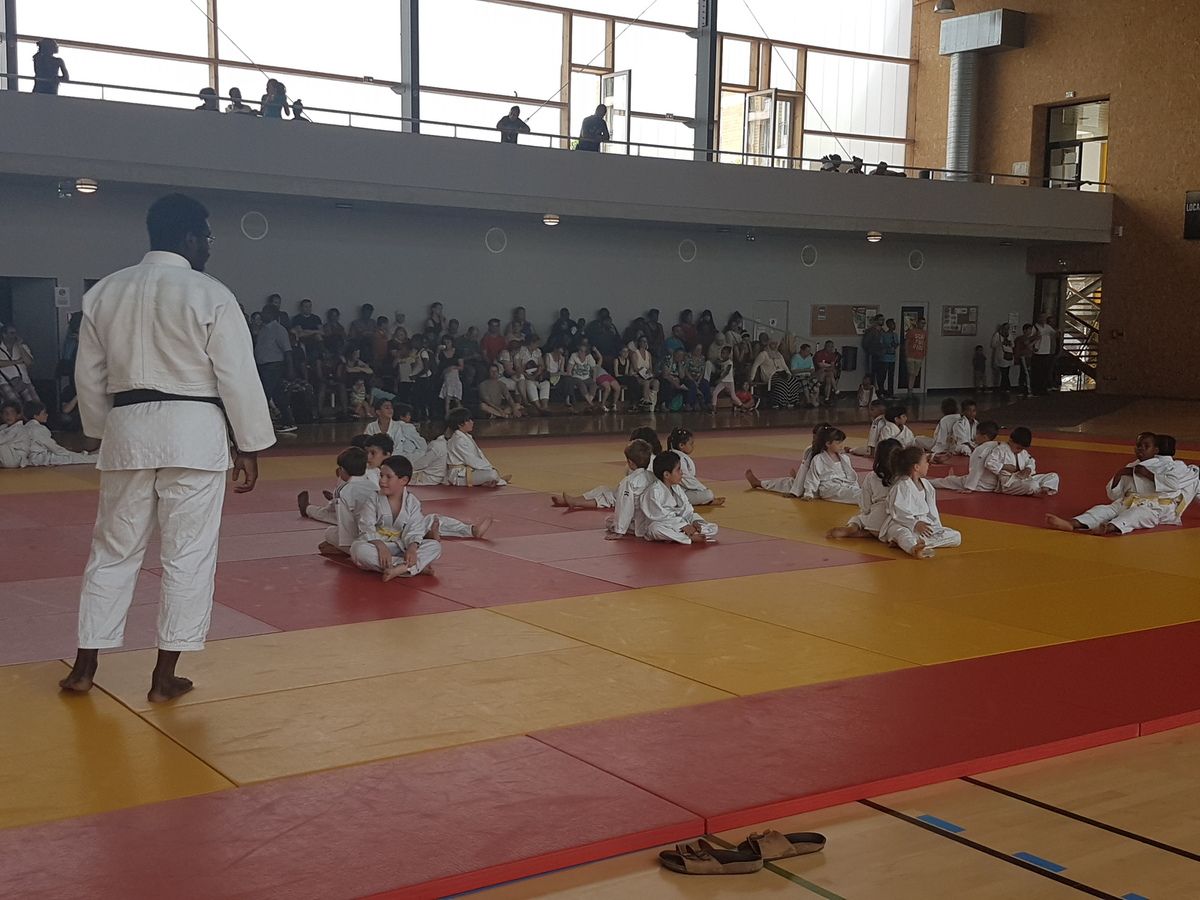 Gala ISDJudo 2017