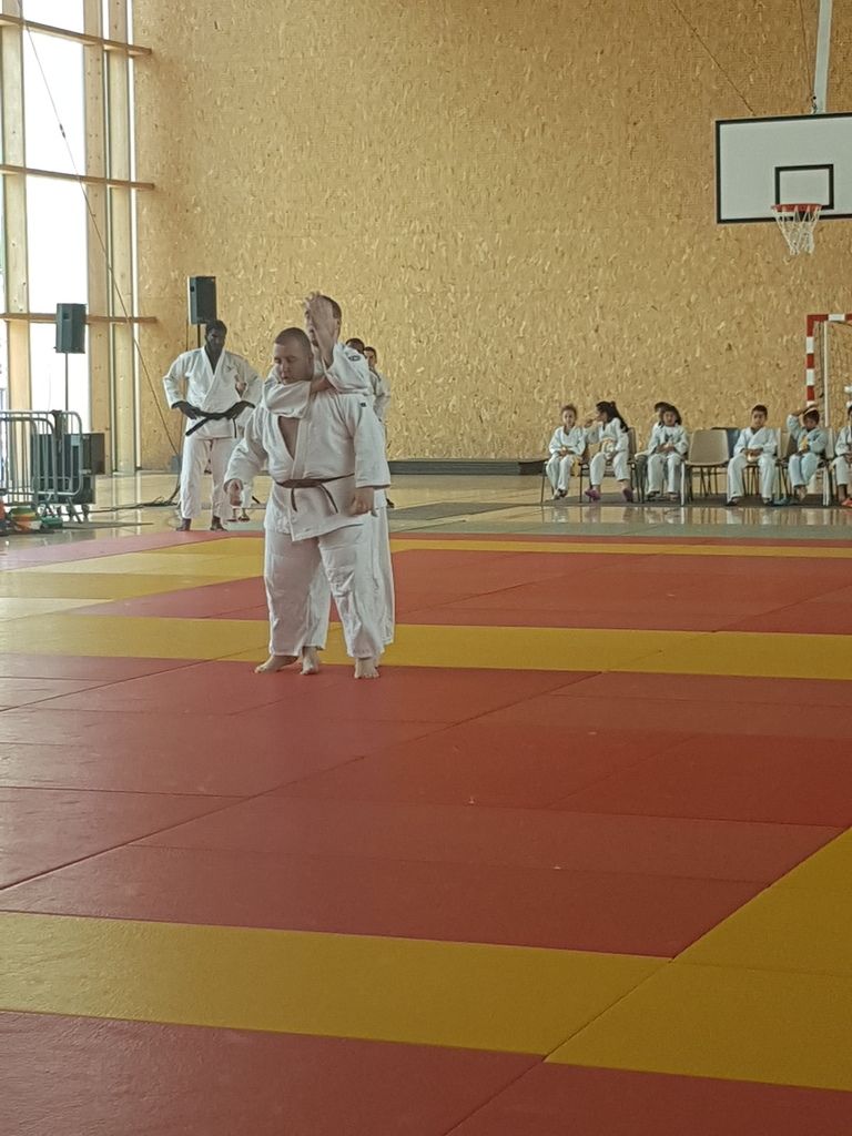 Gala ISDJudo 2017