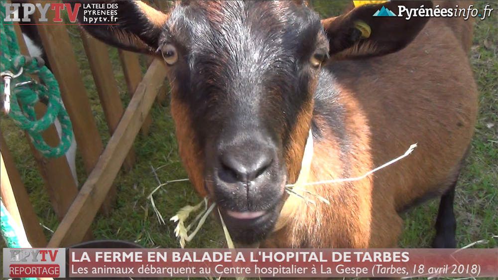 La Ferme en Balade