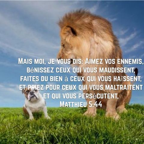 Verset De La Semaine Aimez Vos Ennemis Bénissez Ceux Qui Vous Verset De La Semaine Aimez Vos Ennemis Bénissez Ceux Qui Vous