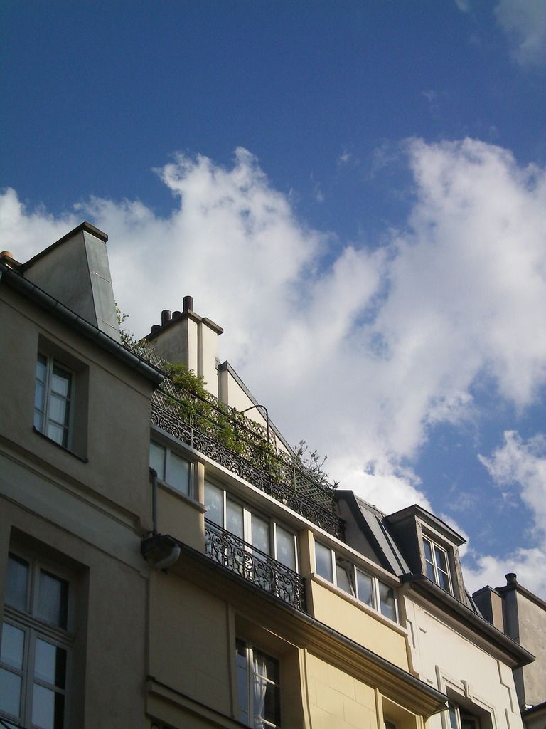 Un Monstre A Paris Sur Les Toits Le ciel est par-dessus le toit - La chimère écarlate