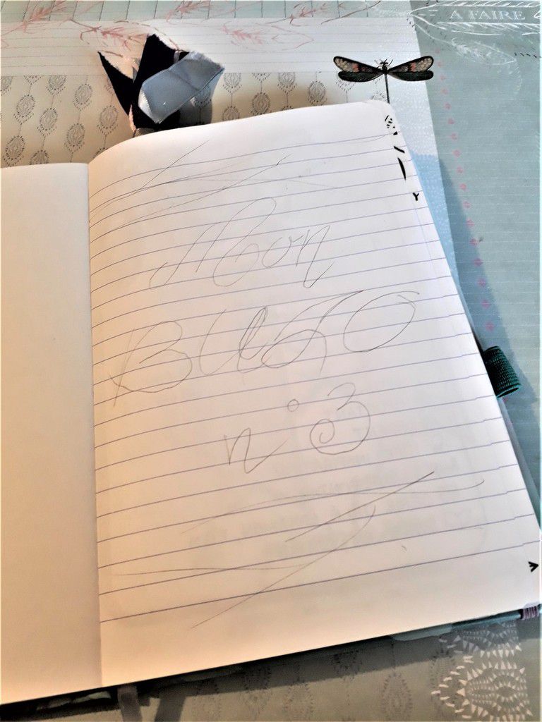 Cahier Miroir Page De Garde Page de garde de mon 3ème carnet ! - Tiph's Bullet Journal