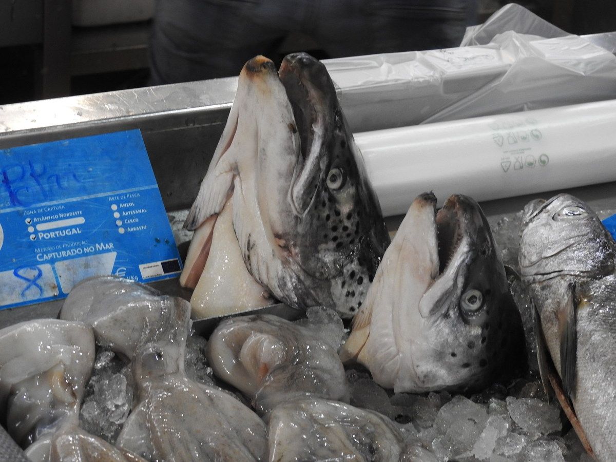 marché de poissons de Loulé Alagarve Portugal, location appartement pour vacances avec vue mer à Fuseta