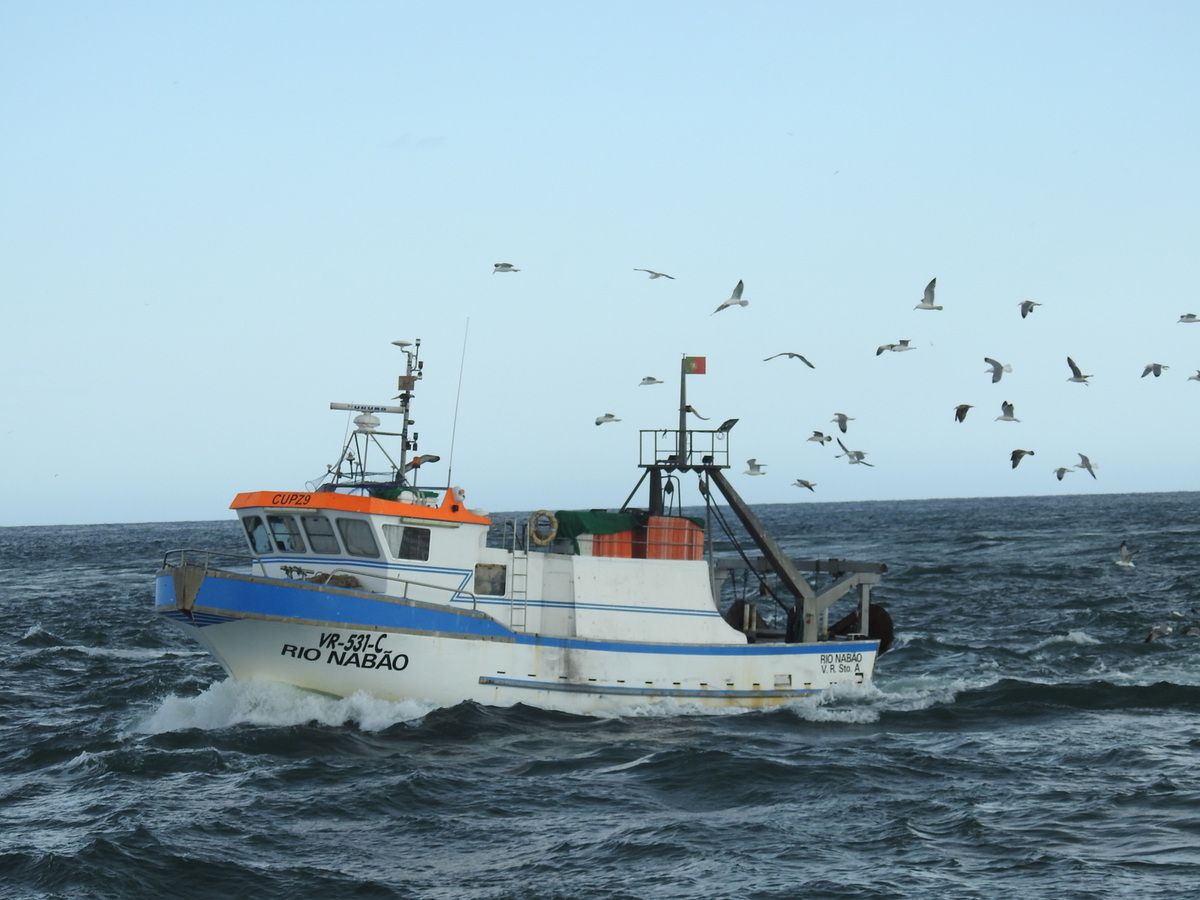 location saisonnière à Olhao, Fuseta, Ria Formosa, Algarve, bateau de pêche 