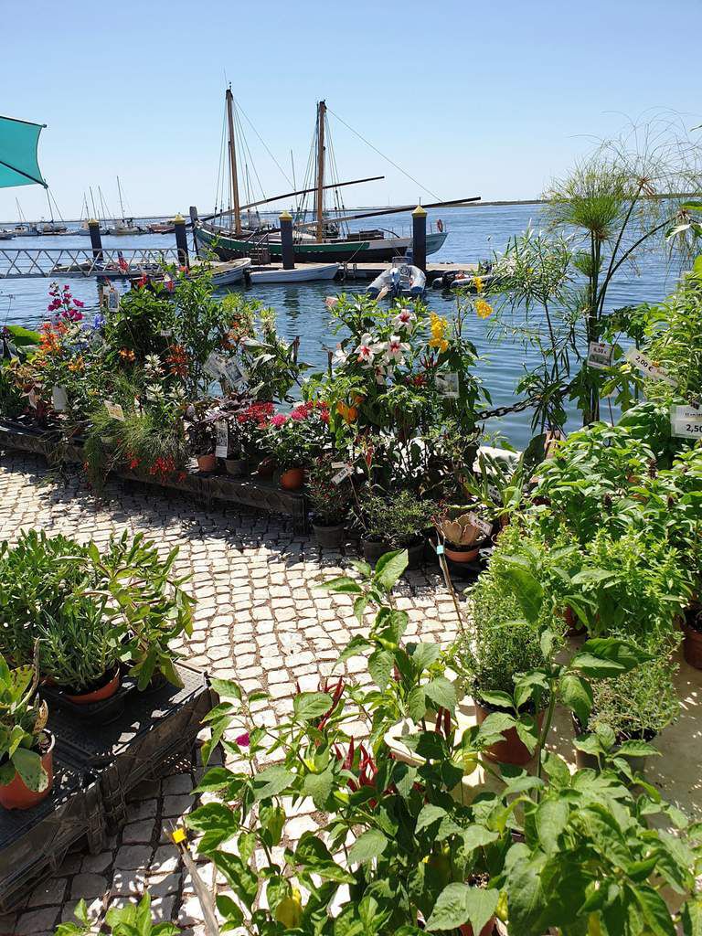 location saisonnière pour vacances à Olhao, Fuseta, Ria Formosa, Algarve, Portugal