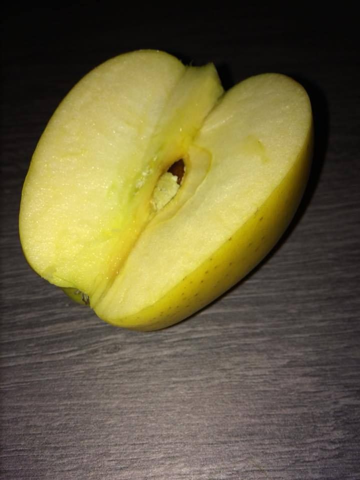 aop pomme limousin