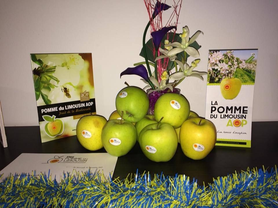 aop pomme limousin