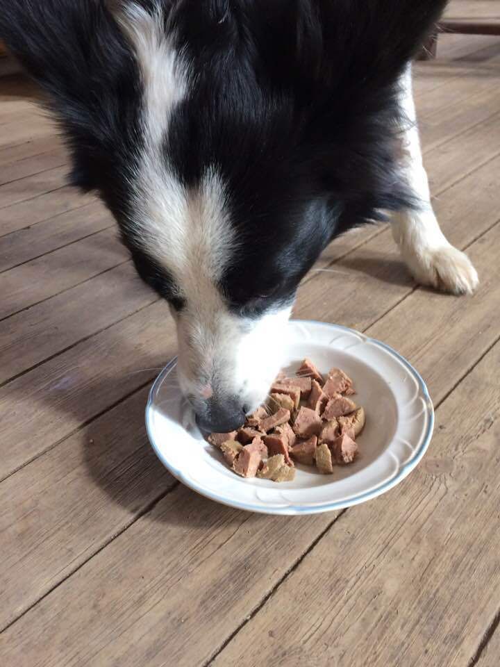 biofood