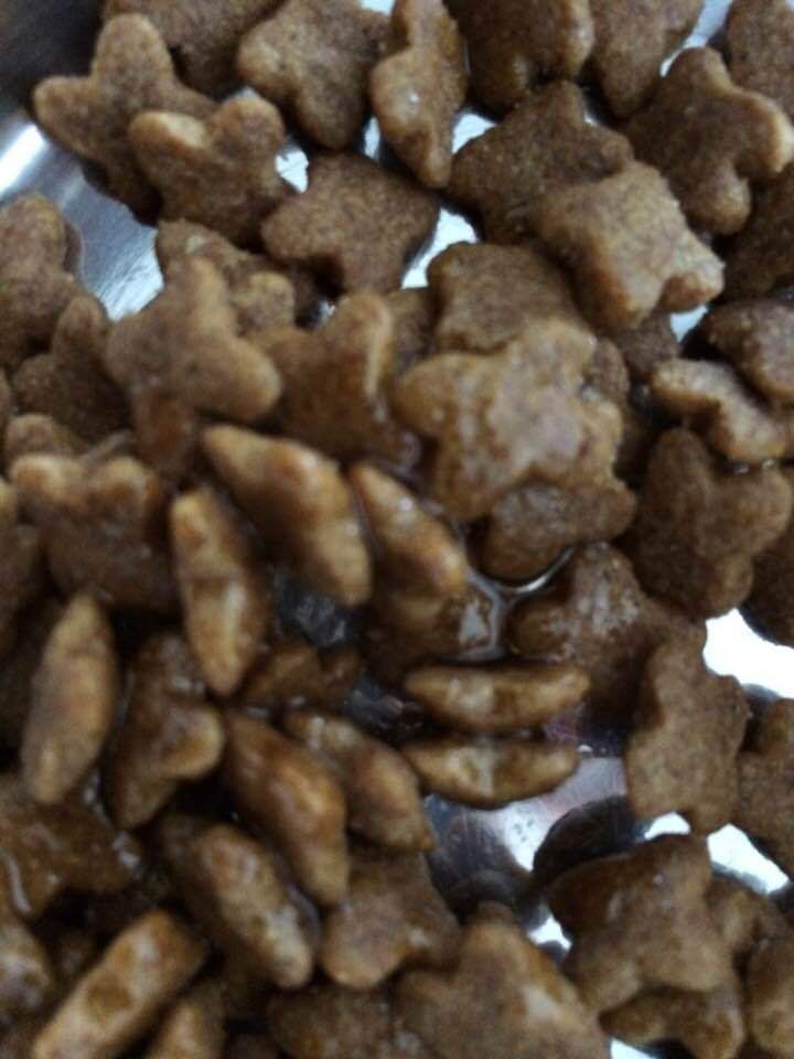 biofood