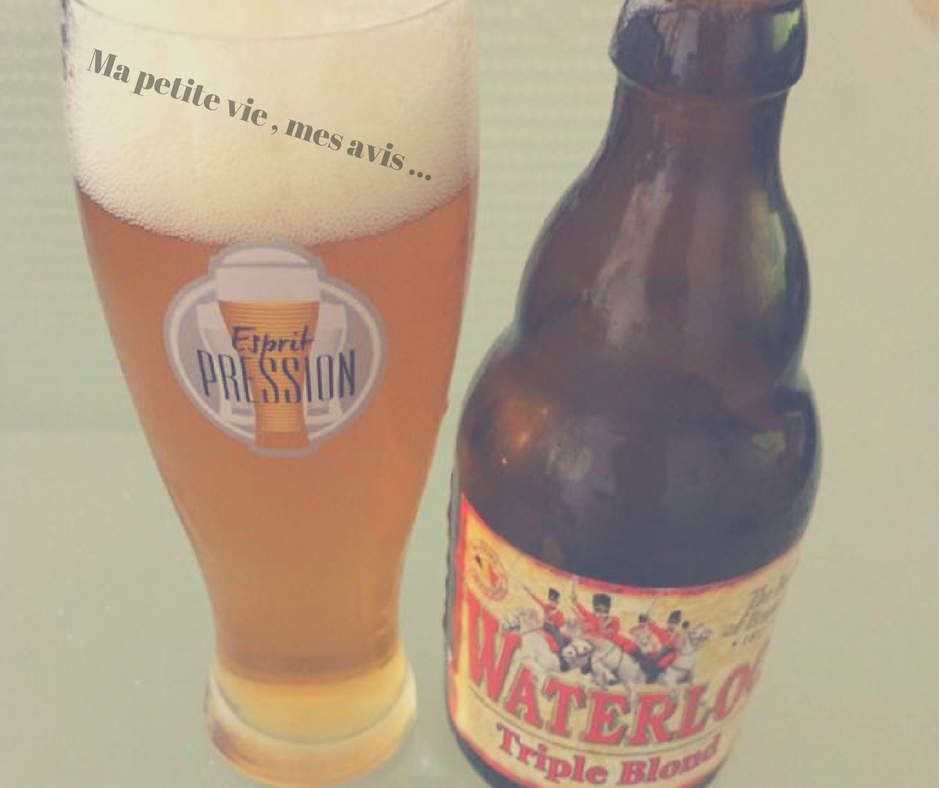 belgo box