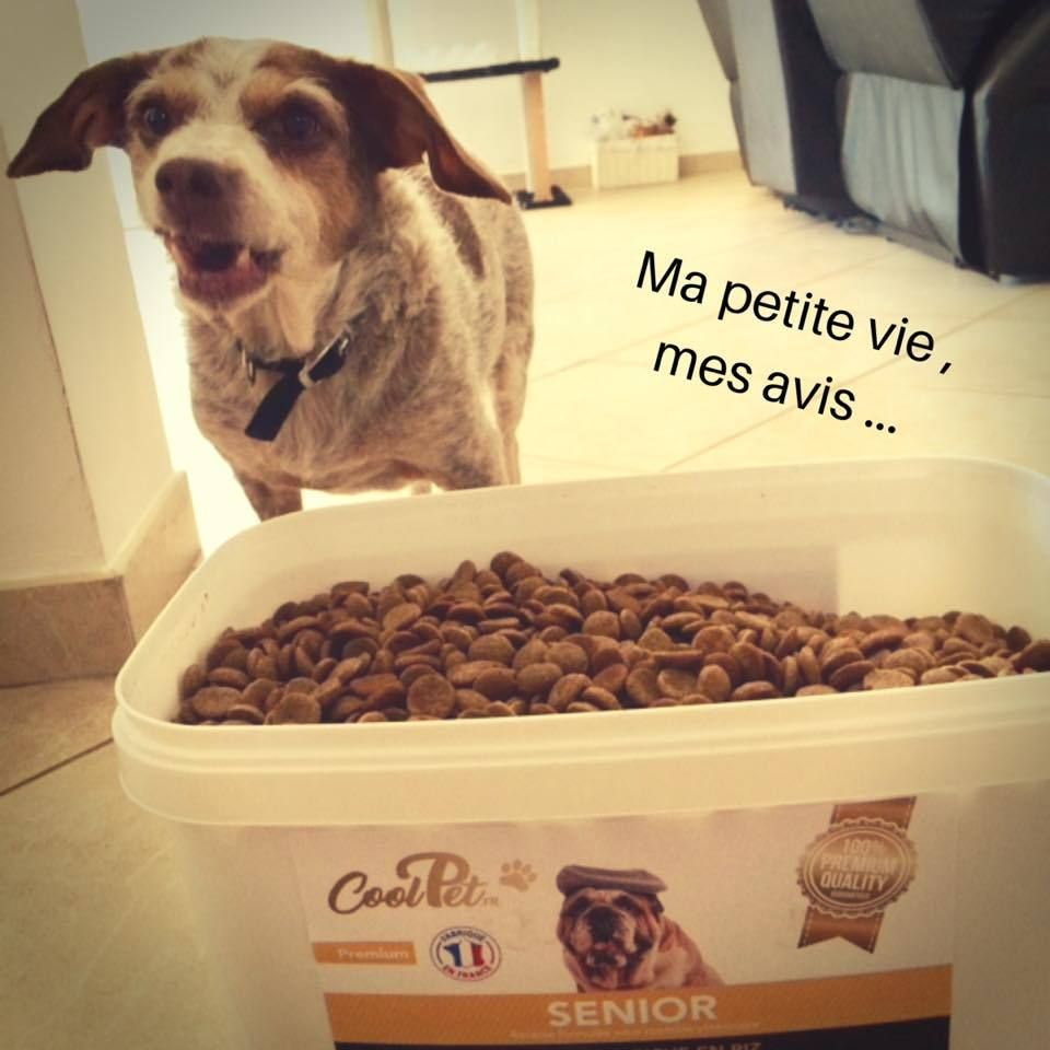 coolpet